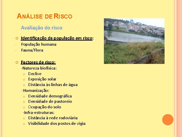 ANÁLISE DE RISCO Avaliação do risco Identificação da população em risco: - População humana