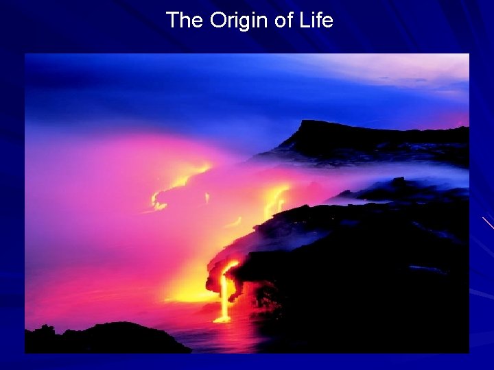 The Origin of Life 