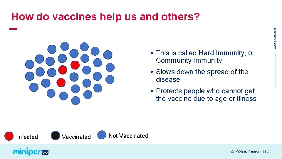 How do vaccines help us and others? • This is called Herd Immunity, or