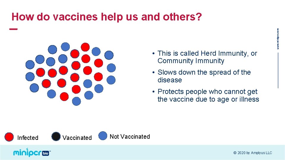 How do vaccines help us and others? • This is called Herd Immunity, or