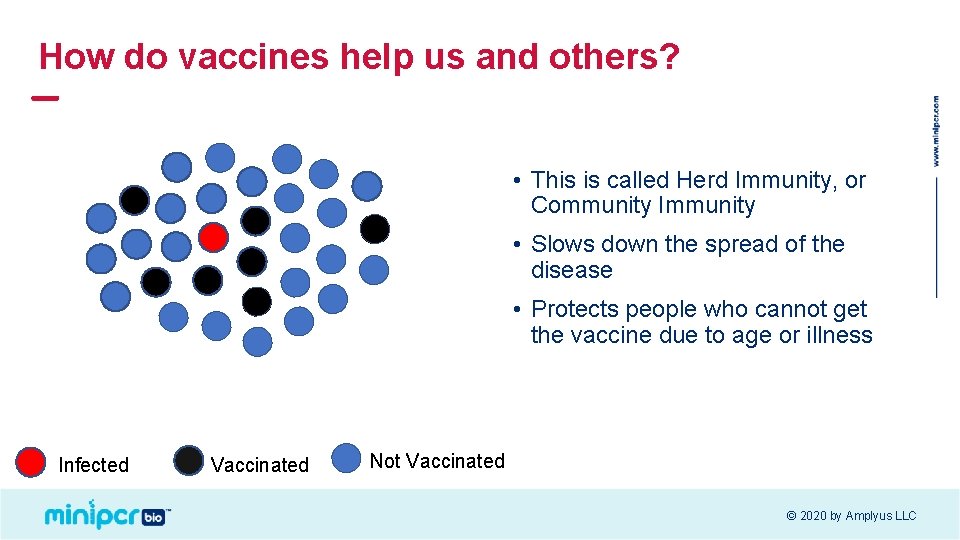 How do vaccines help us and others? • This is called Herd Immunity, or