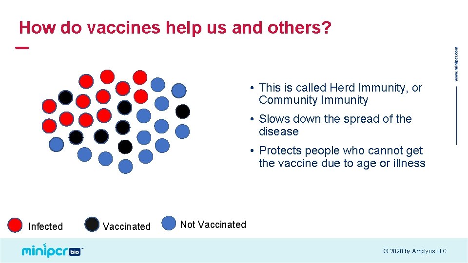 How do vaccines help us and others? • This is called Herd Immunity, or