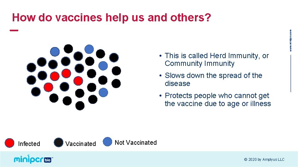 How do vaccines help us and others? • This is called Herd Immunity, or