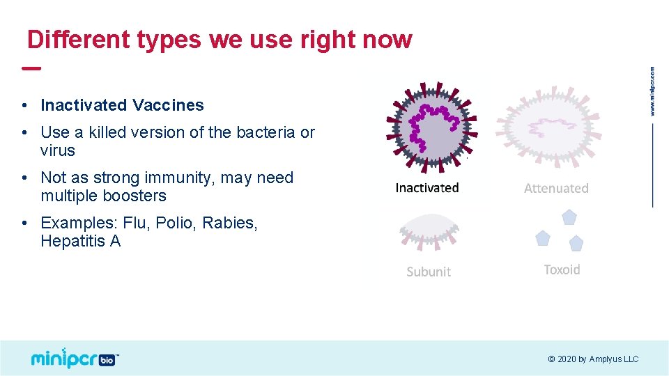 Different types we use right now • Inactivated Vaccines • Use a killed version