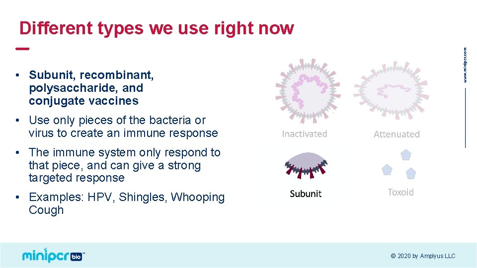 Different types we use right now • Subunit, recombinant, polysaccharide, and conjugate vaccines •