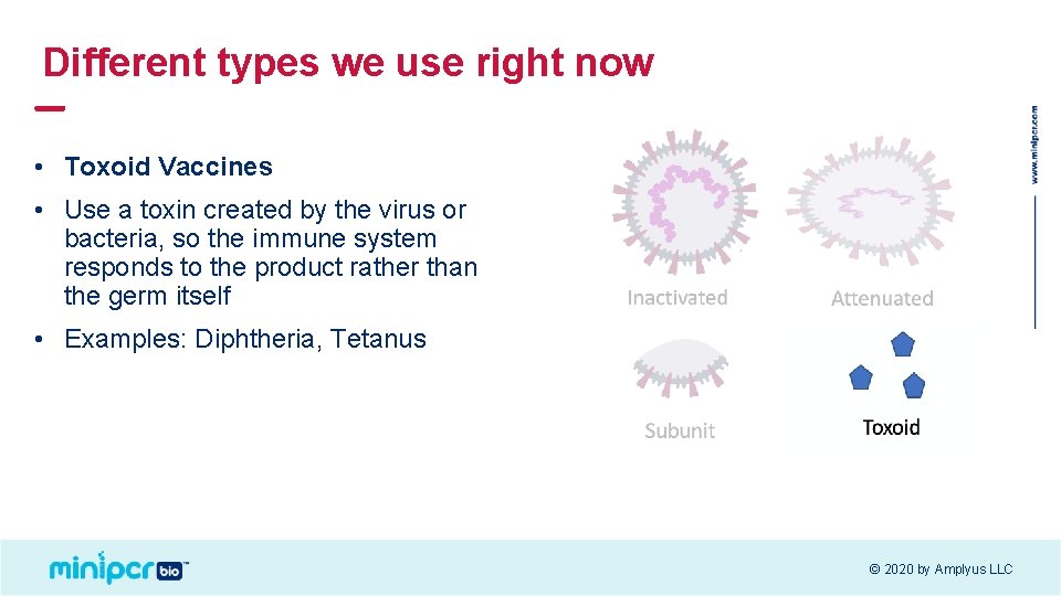 Different types we use right now • Toxoid Vaccines • Use a toxin created