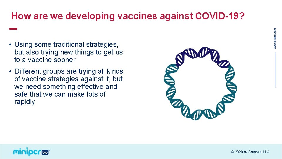 How are we developing vaccines against COVID-19? • Using some traditional strategies, but also