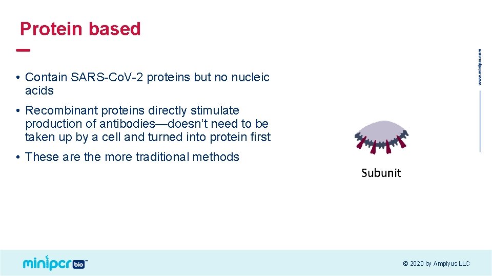 Protein based • Contain SARS-Co. V-2 proteins but no nucleic acids • Recombinant proteins
