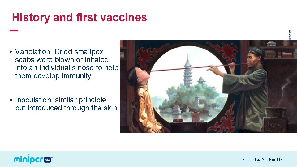 History and first vaccines • Variolation: Dried smallpox scabs were blown or inhaled into