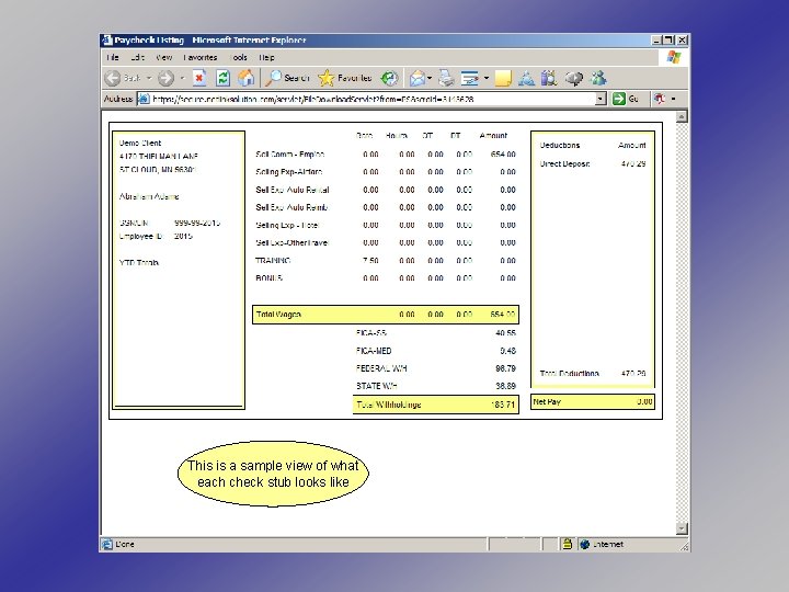 This is a sample view of what each check stub looks like 