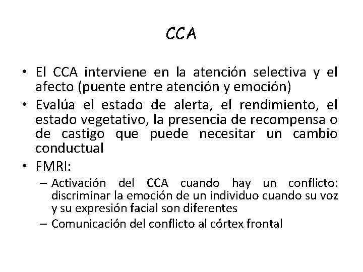 CCA • El CCA interviene en la atención selectiva y el afecto (puente entre