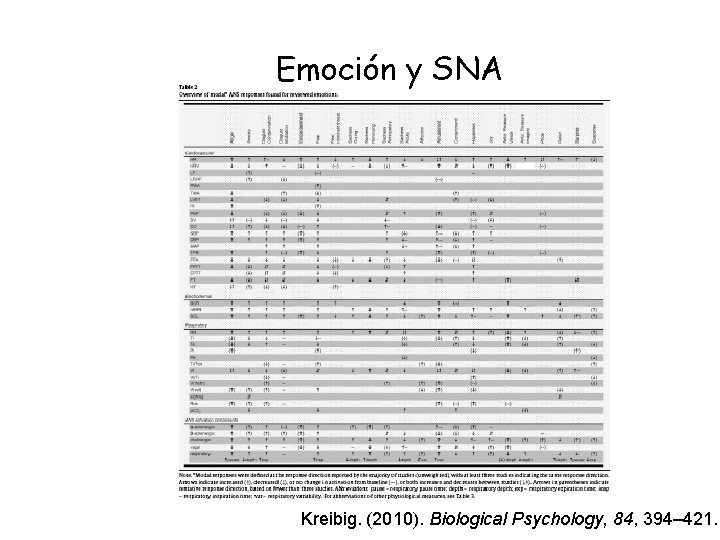 Emoción y SNA Kreibig. (2010). Biological Psychology, 84, 394– 421. 