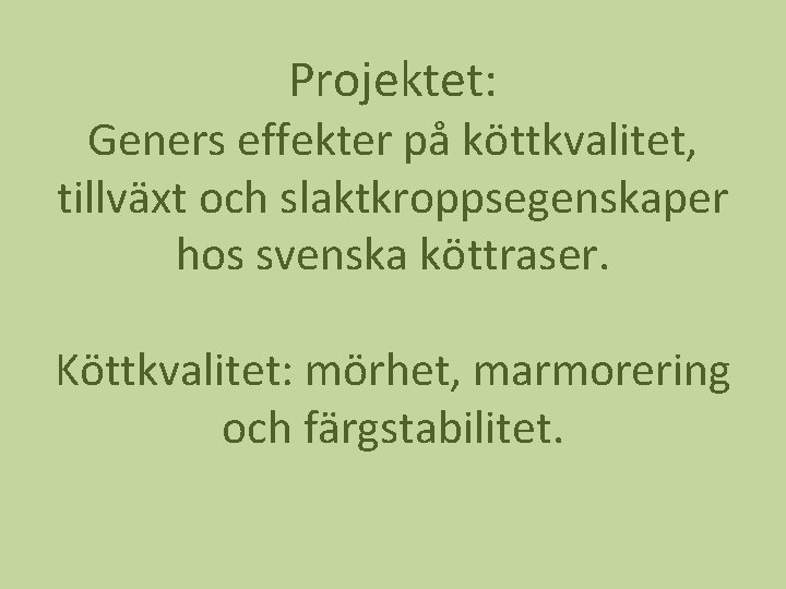 Projektet: Geners effekter på köttkvalitet, tillväxt och slaktkroppsegenskaper hos svenska köttraser. Köttkvalitet: mörhet, marmorering