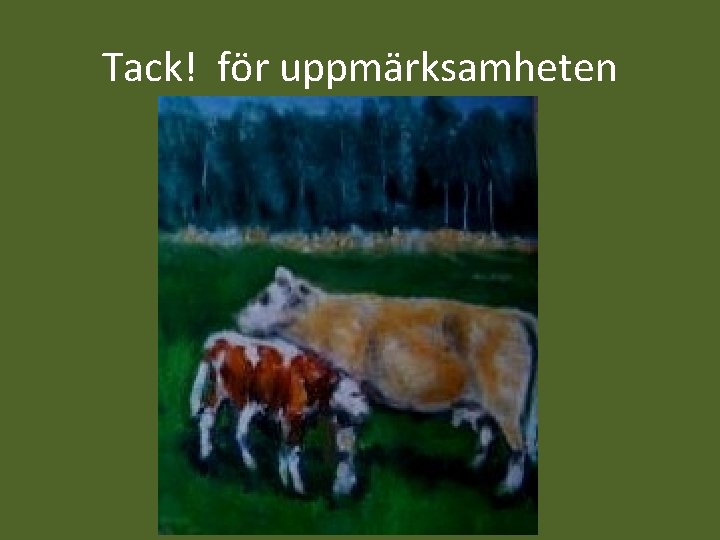 Tack! för uppmärksamheten 