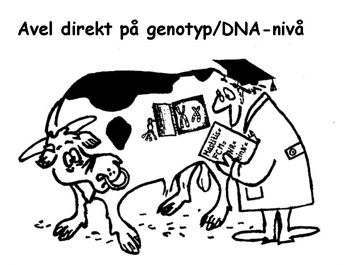 Avel direkt på genotyp/DNA-nivå 