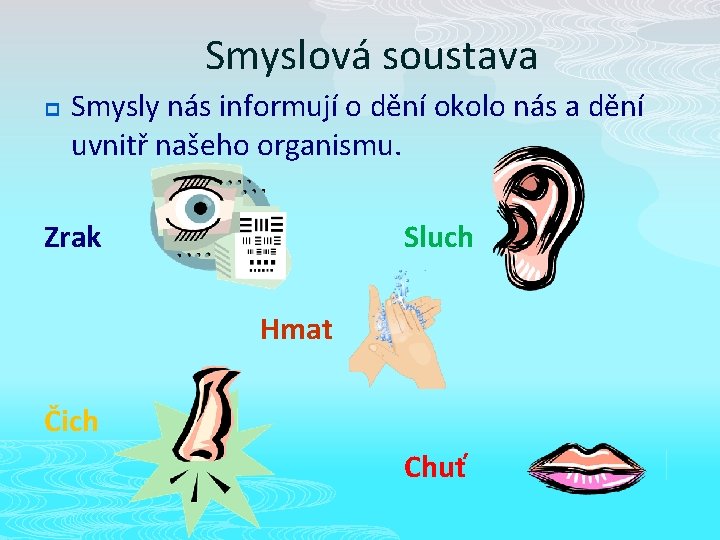 Smyslová soustava p Smysly nás informují o dění okolo nás a dění uvnitř našeho