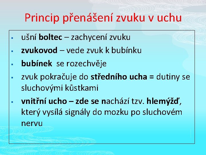 Princip přenášení zvuku v uchu § § § ušní boltec – zachycení zvuku zvukovod