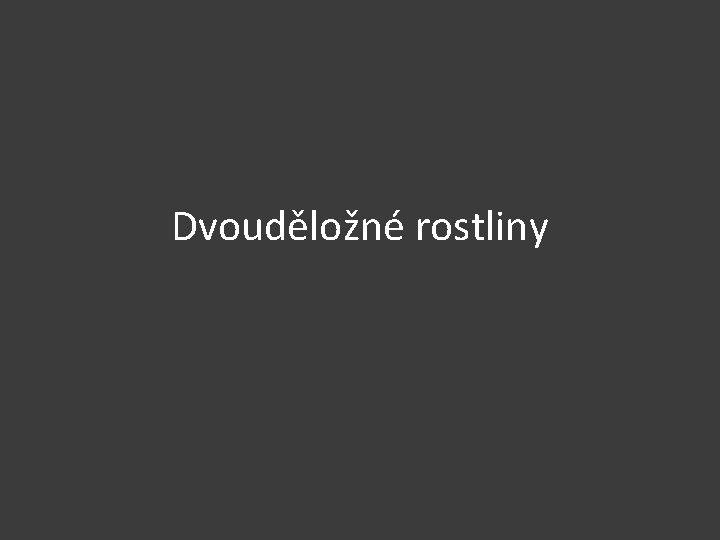 Dvouděložné rostliny 