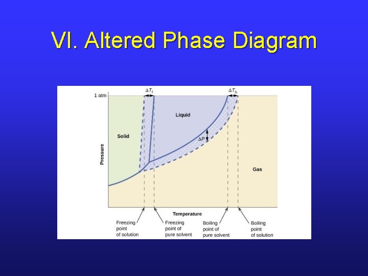 VI. Altered Phase Diagram 