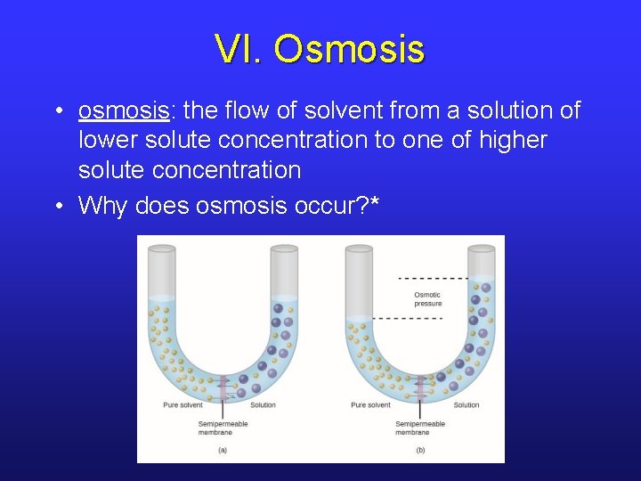 VI. Osmosis • osmosis: the flow of solvent from a solution of lower solute