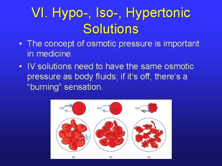 VI. Hypo-, Iso-, Hypertonic Solutions • The concept of osmotic pressure is important in