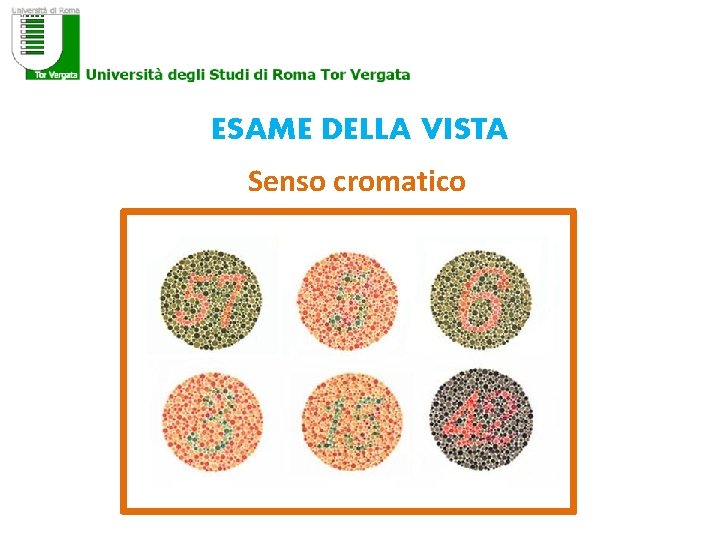 ESAME DELLA VISTA Senso cromatico 