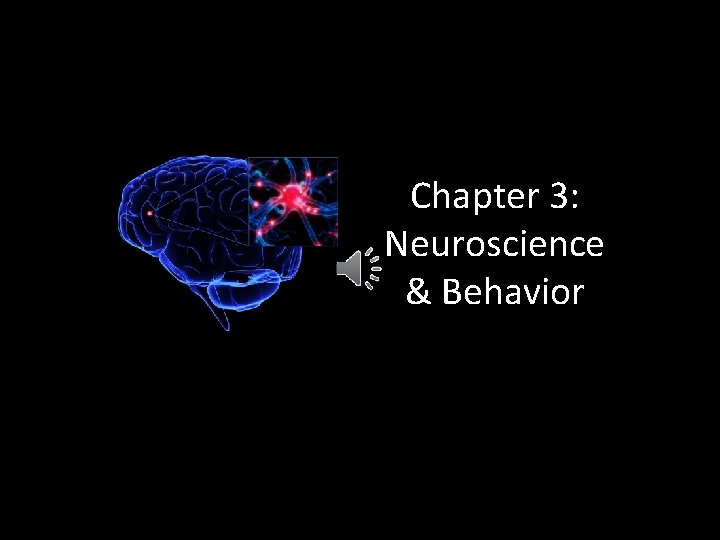 Chapter 3: Neuroscience & Behavior 