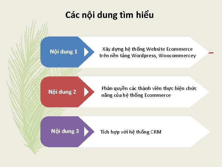 Các nội dung tìm hiểu Nội dung 1 Xây dựng hệ thống Website Ecommerce