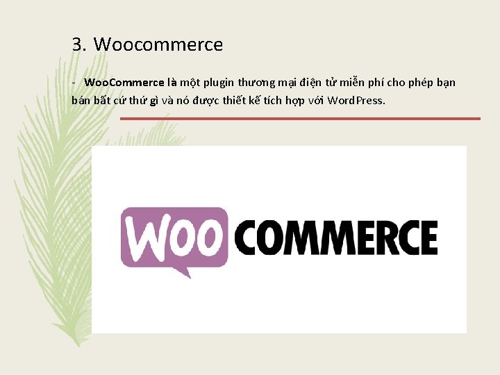 3. Woocommerce - Woo. Commerce là một plugin thương mại điện tử miễn phí