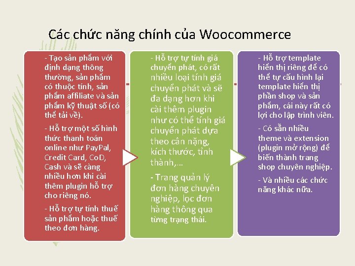 Các chức năng chính của Woocommerce - Tạo sản phẩm với định dạng thông