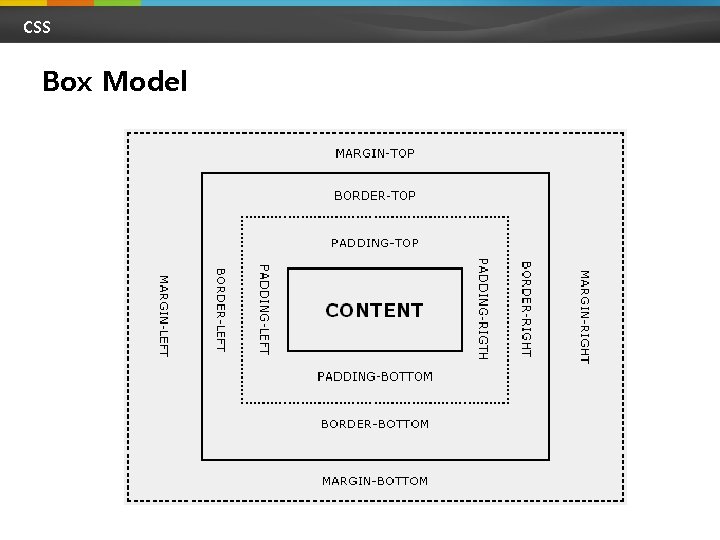 CSS Box Model 