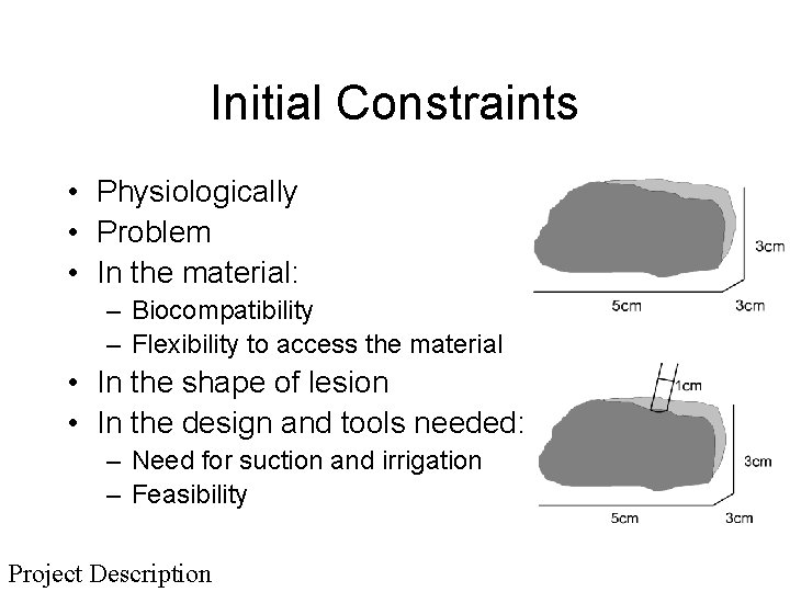 Initial Constraints • Physiologically • Problem • In the material: – Biocompatibility – Flexibility
