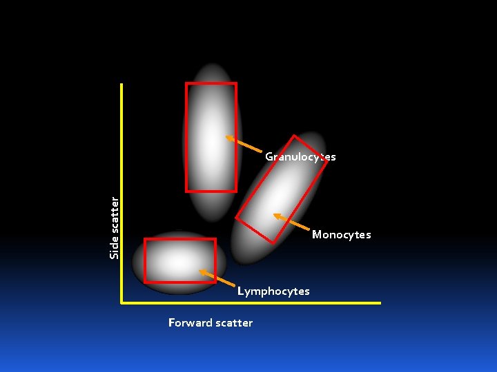 Side scatter Granulocytes Monocytes Lymphocytes Forward scatter 