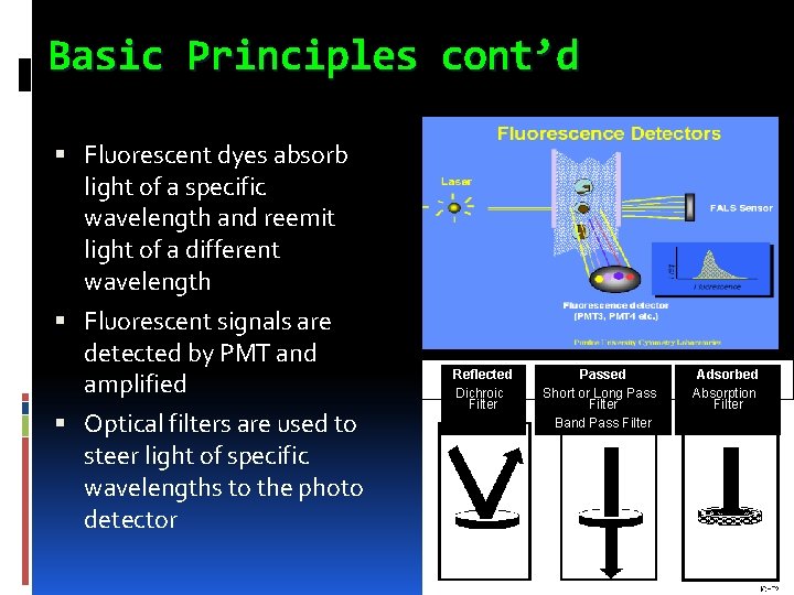 Basic Principles cont’d Fluorescent dyes absorb light of a specific wavelength and reemit light