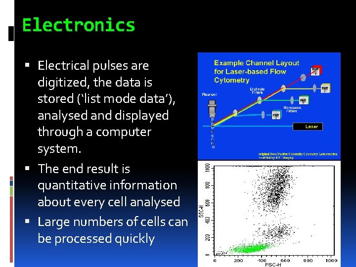 Electronics Electrical pulses are digitized, the data is stored (‘list mode data’), analysed and