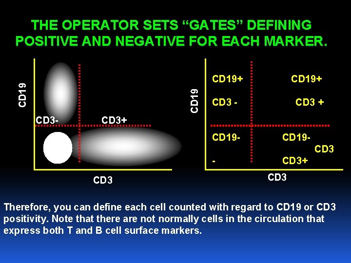 THE OPERATOR SETS “GATES” DEFINING POSITIVE AND NEGATIVE FOR EACH MARKER. CD 19+ CD