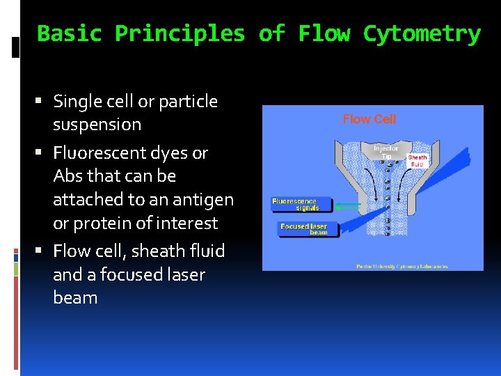 Basic Principles of Flow Cytometry Single cell or particle suspension Fluorescent dyes or Abs