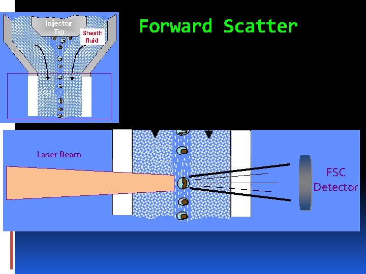 Forward Scatter Laser Beam FSC Detector 