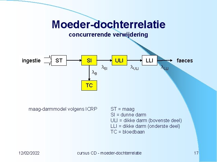 Moeder-dochterrelatie concurrerende verwijdering ingestie ST SI B SI ULI LLI faeces TC maag-darmmodel volgens