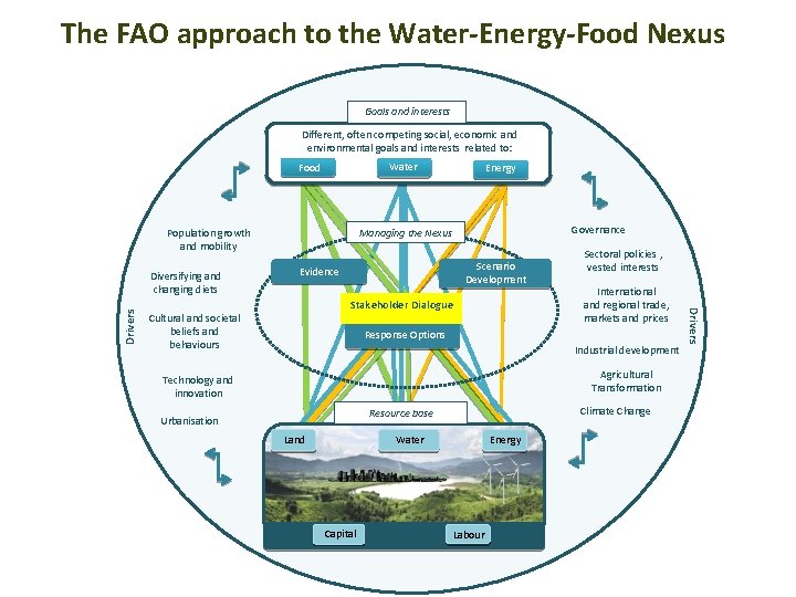 The FAO approach to the Water-Energy-Food Nexus Goals and interests Different, often competing social,