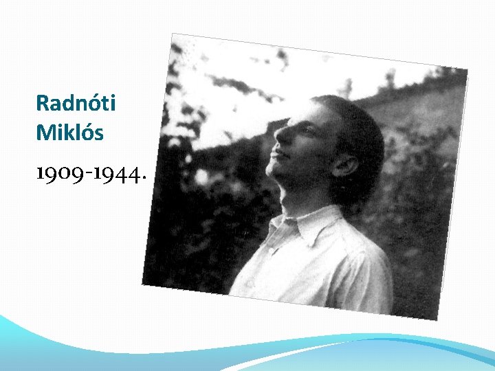 Radnóti Miklós 1909 -1944. 