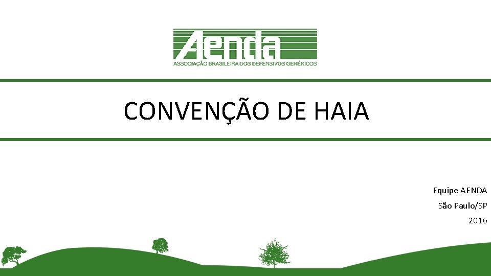 CONVENÇÃO DE HAIA Equipe AENDA São Paulo/SP 2016 