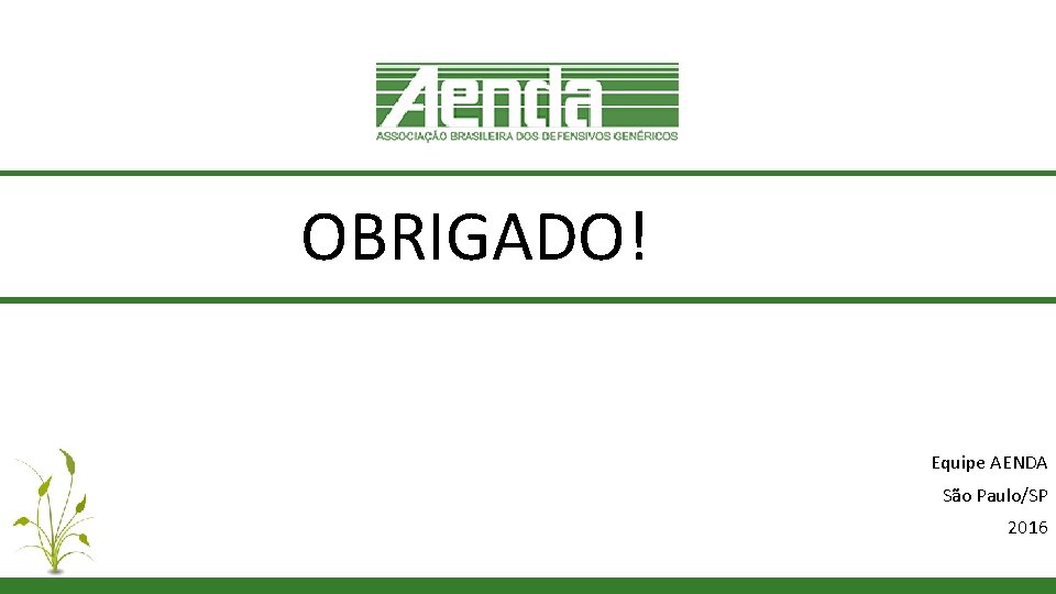 OBRIGADO! Equipe AENDA São Paulo/SP 2016 