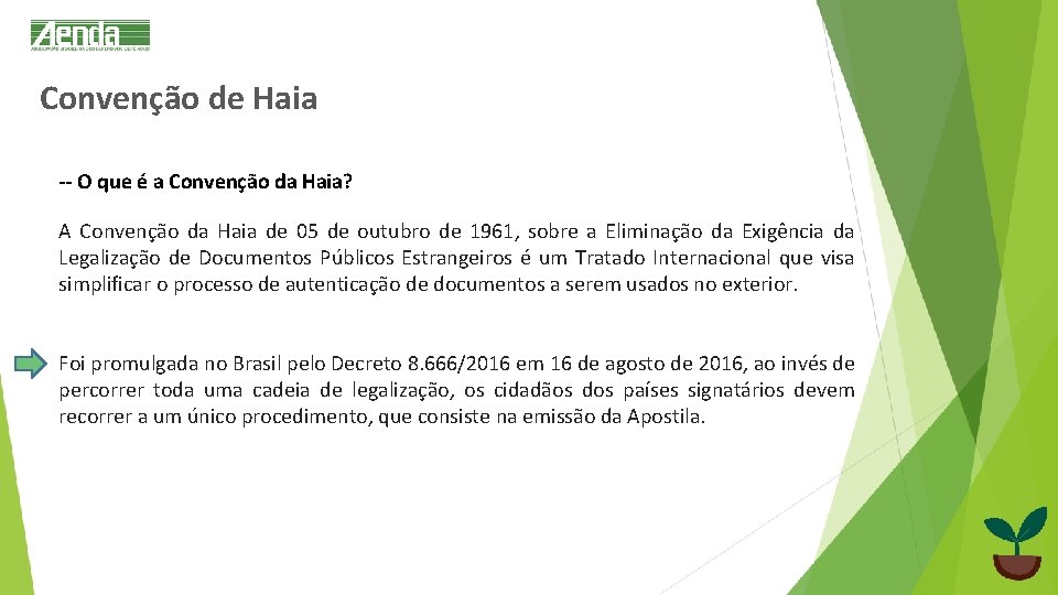 Convenção de Haia -- O que é a Convenção da Haia? A Convenção da