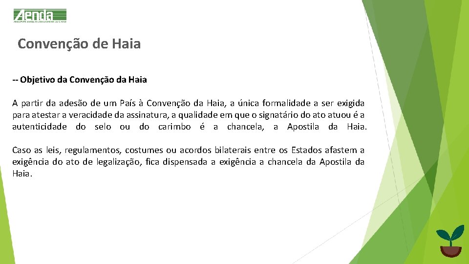 Convenção de Haia -- Objetivo da Convenção da Haia A partir da adesão de