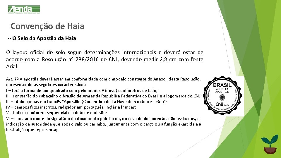 Convenção de Haia -- O Selo da Apostila da Haia O layout oficial do