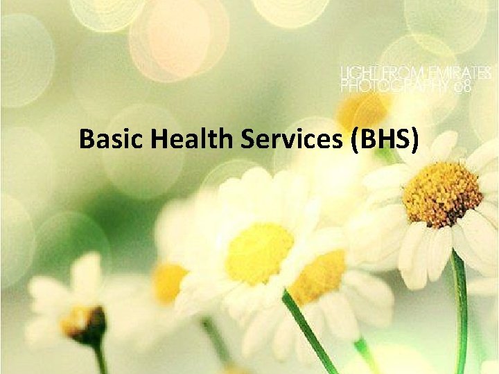 Basic Health Services (BHS) 