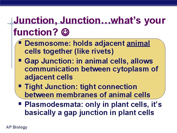 Junction, Junction…what’s your function? § Desmosome: holds adjacent animal § § § cells together