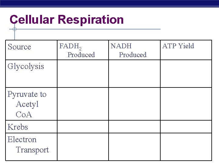 Cellular Respiration Source Glycolysis Pyruvate to Acetyl Co. A Krebs Electron Transport AP Biology
