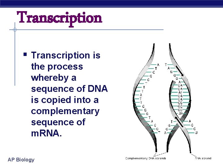 Transcription § Transcription is the process whereby a sequence of DNA is copied into